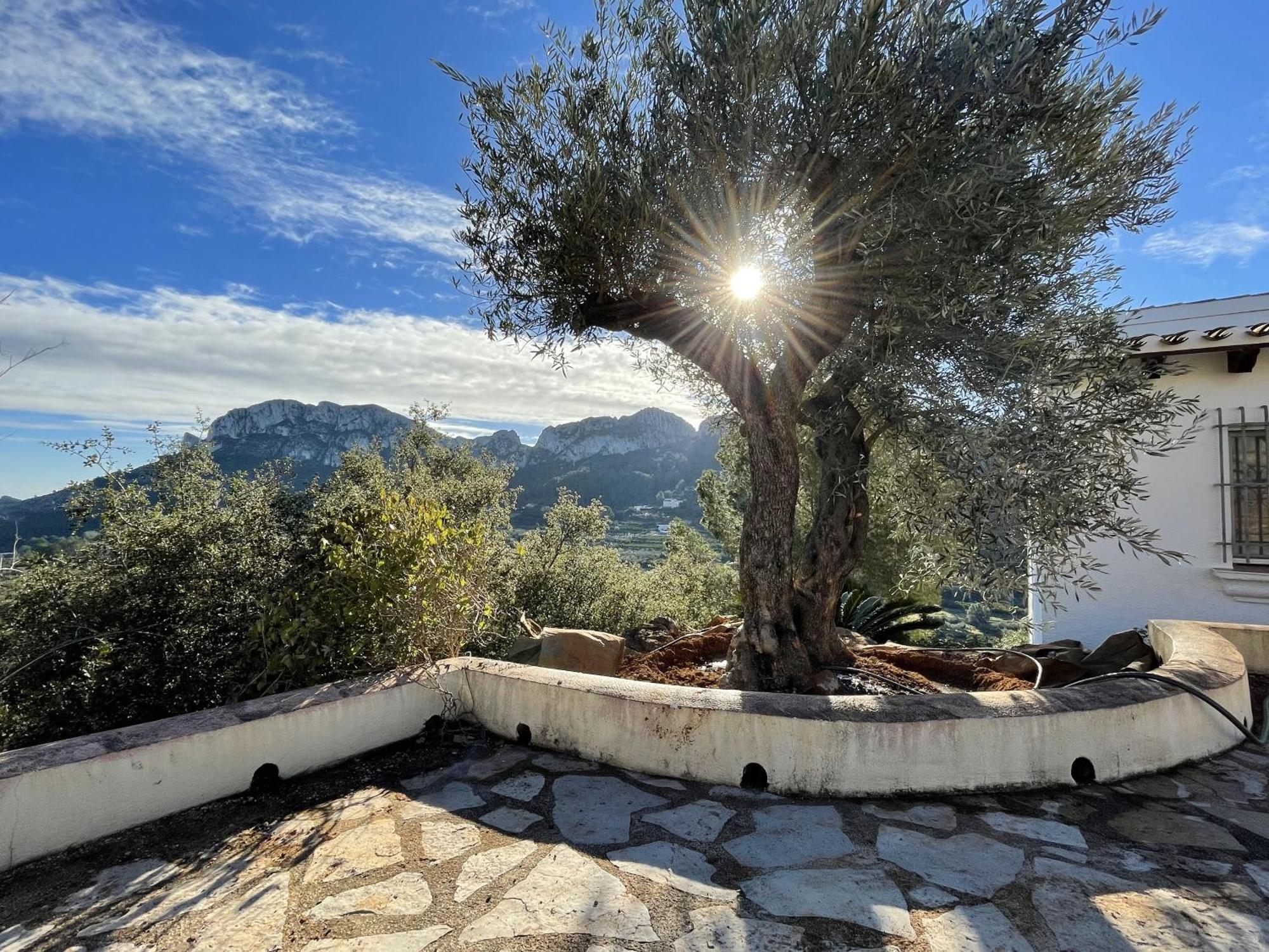 Villa Casa Dali Monte Pego Dış mekan fotoğraf